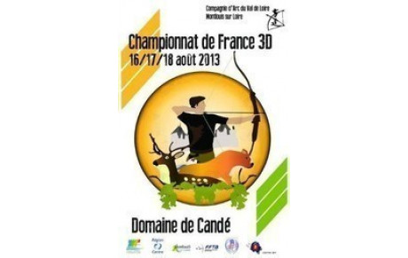 Championnat de France 3D